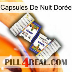 Capsules De Nuit Dorée 12